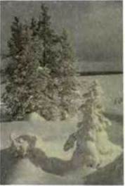 Описание: E:docukrlitukrlit5.filesimage046.jpg
